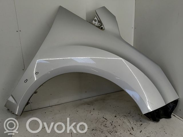 Fender   1929669,20260264,28510891,VDMS7
