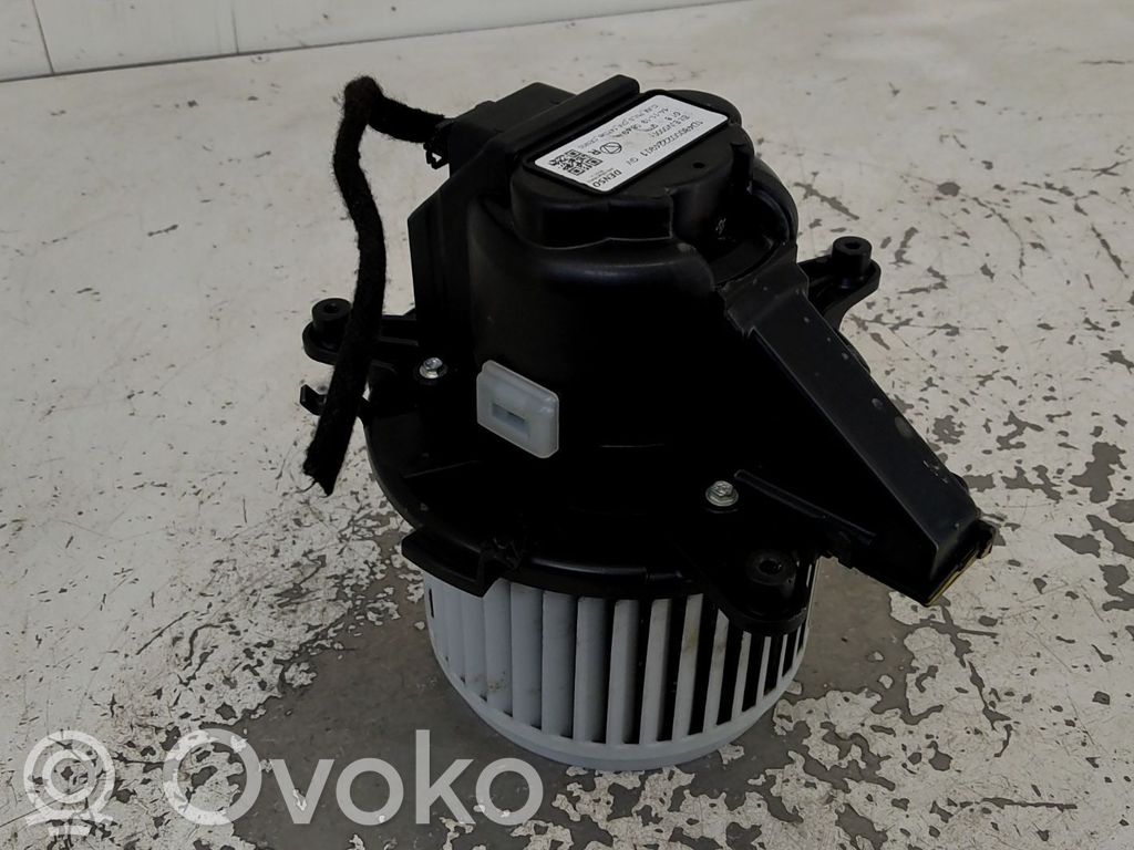 Pečiuko ventiliatorius/ putikas   9849717080,20260613,33339023,VDMS7