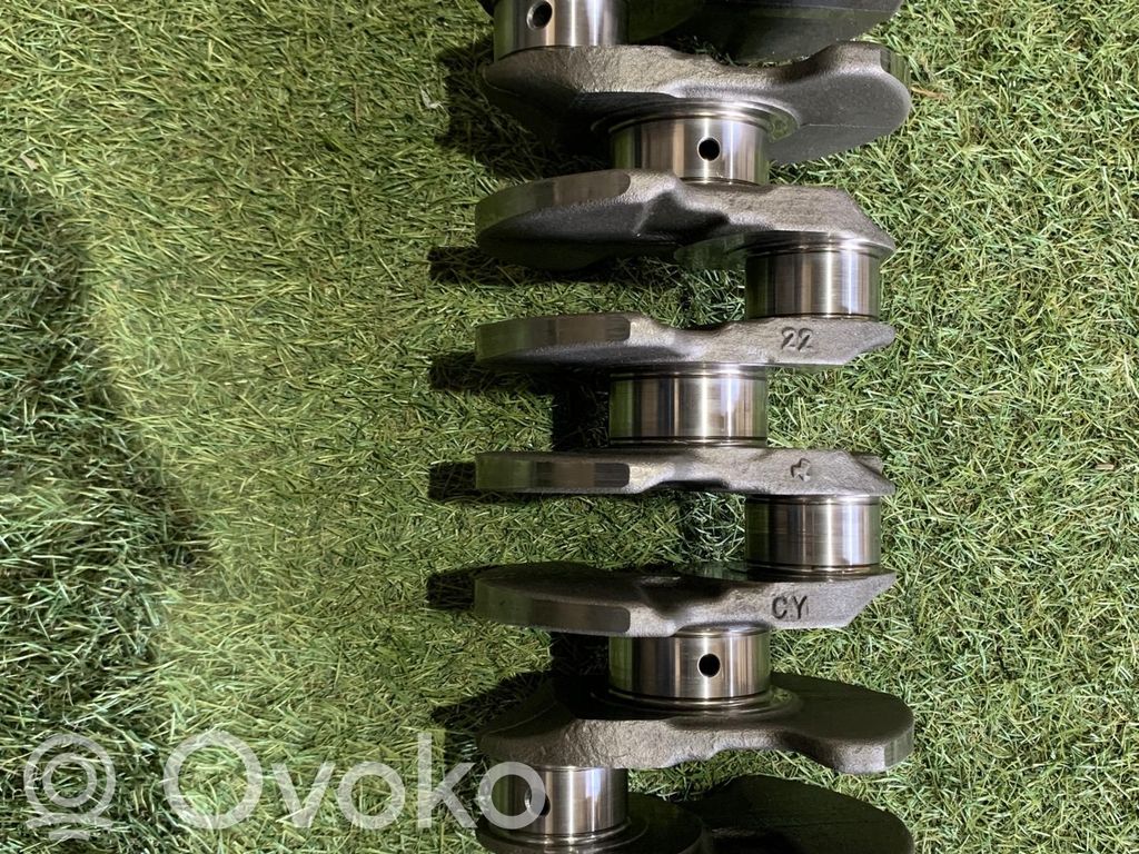 Kampiakseli   71795684,71779133,71795684