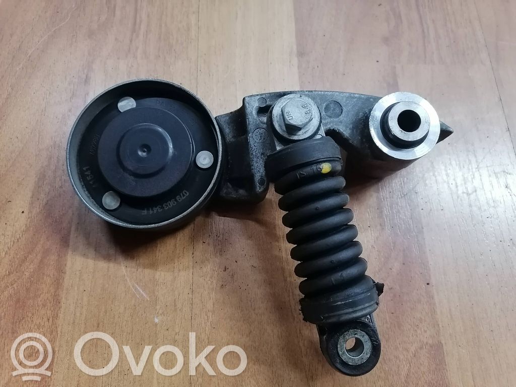 Audi A6 S6 C6 4F Tendicinghia generatore/alternatore 