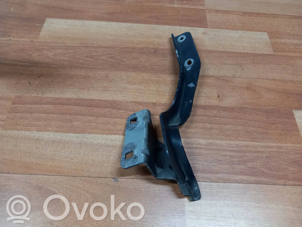 Nissan Qashqai Engine bonnet/hood hinges 