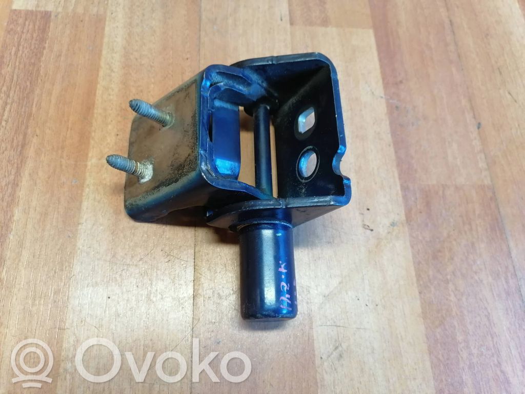Renault Modus Rear door lower hinge 