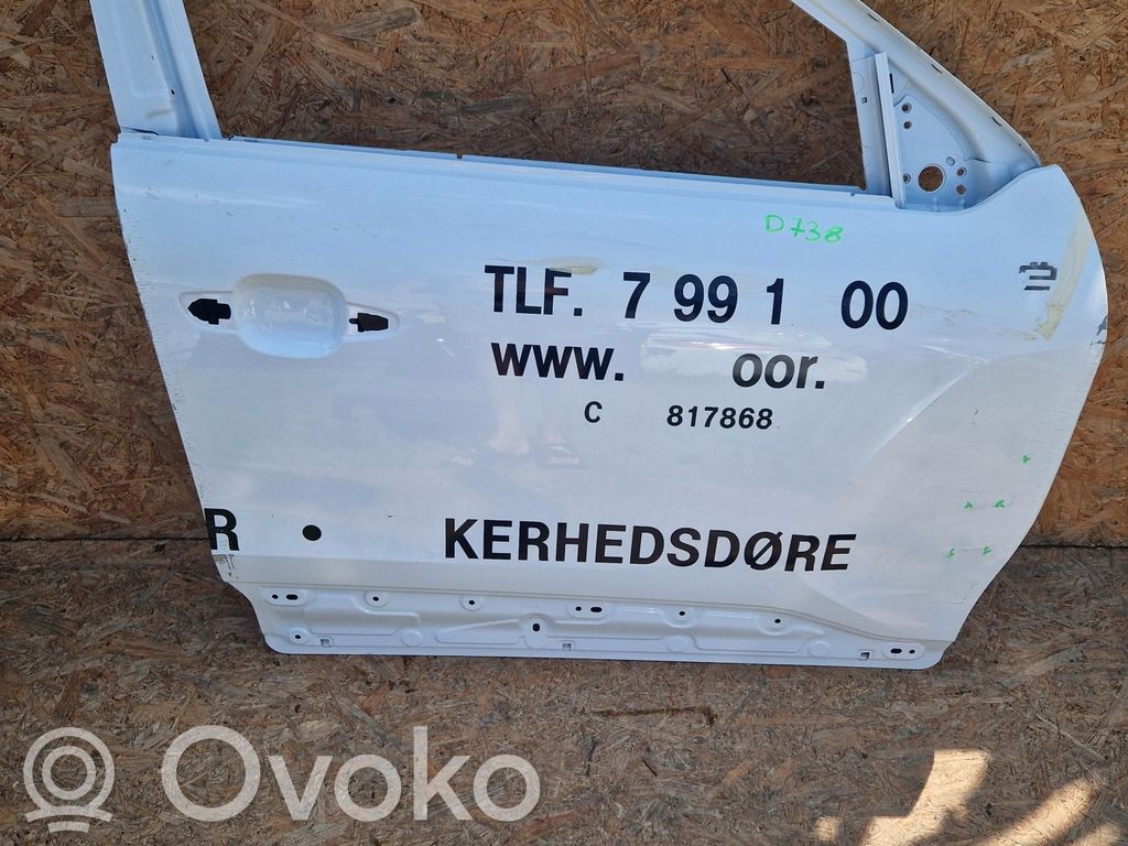 Priekinės durys   D738