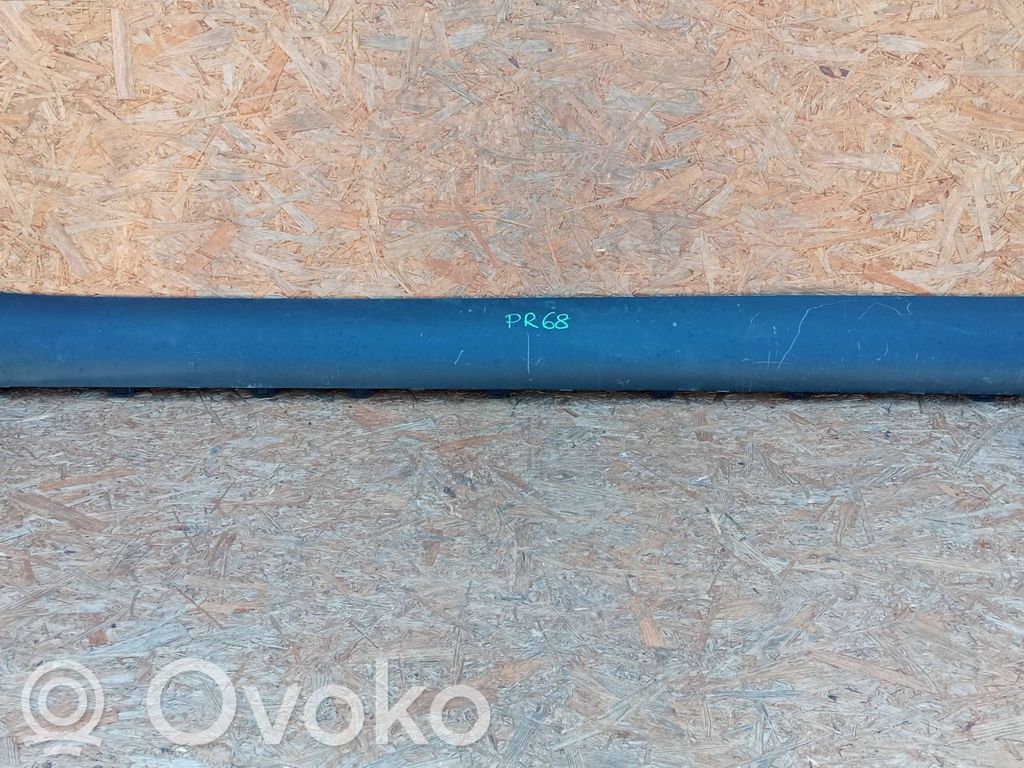 Tesla Model Y Priekinis slenkstis (kėbulo dalis) 