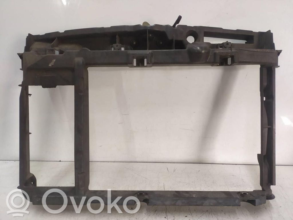 Panel lateral delantero   9650102080