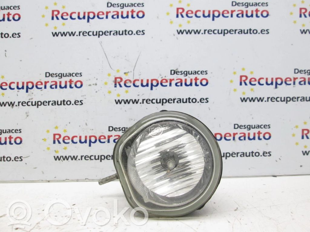 Luz de niebla delantera