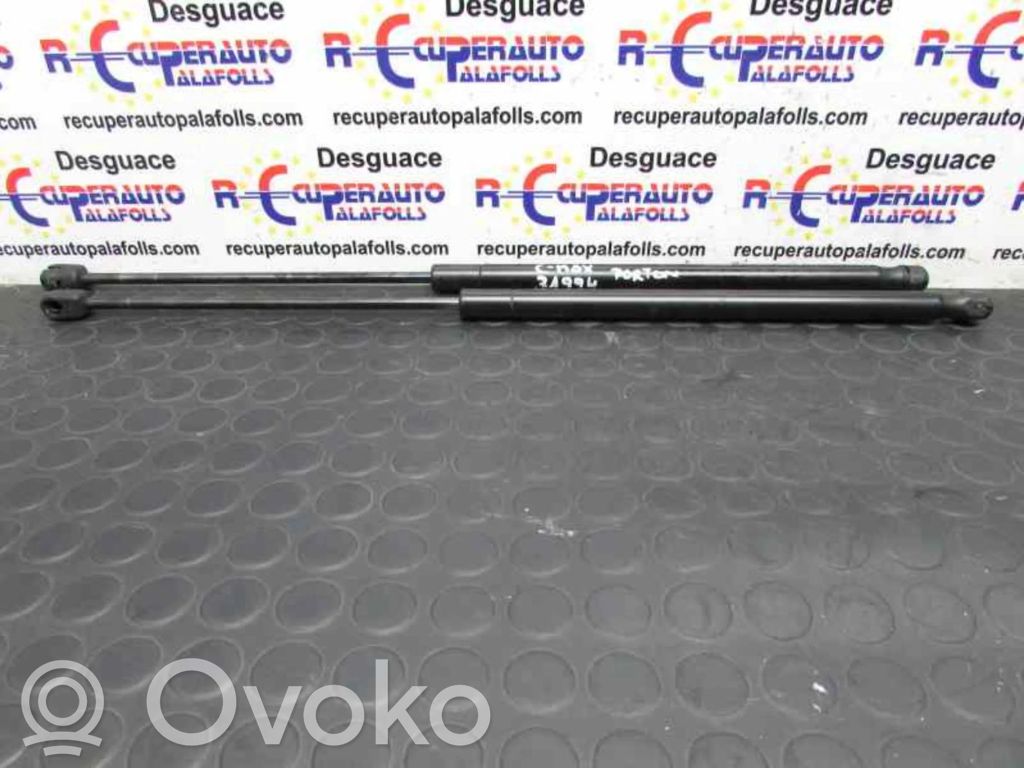 Amortizatorius galinio dangčio