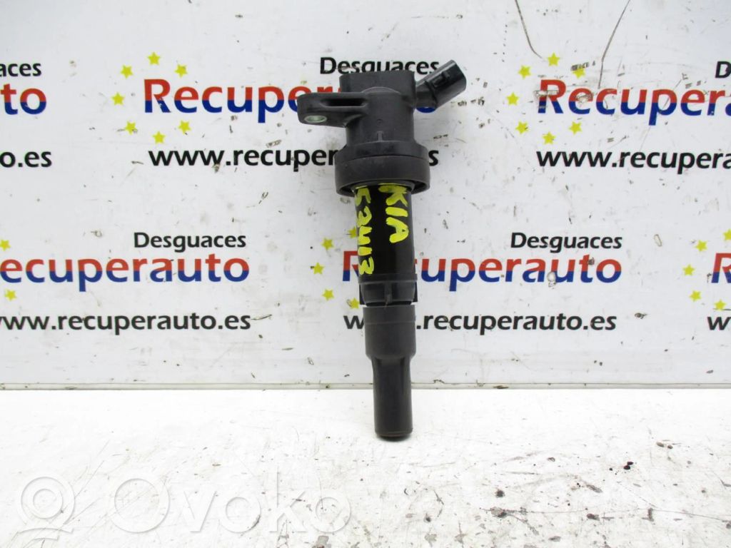 Aukštos įtampos ritė "babyna"   2730103200