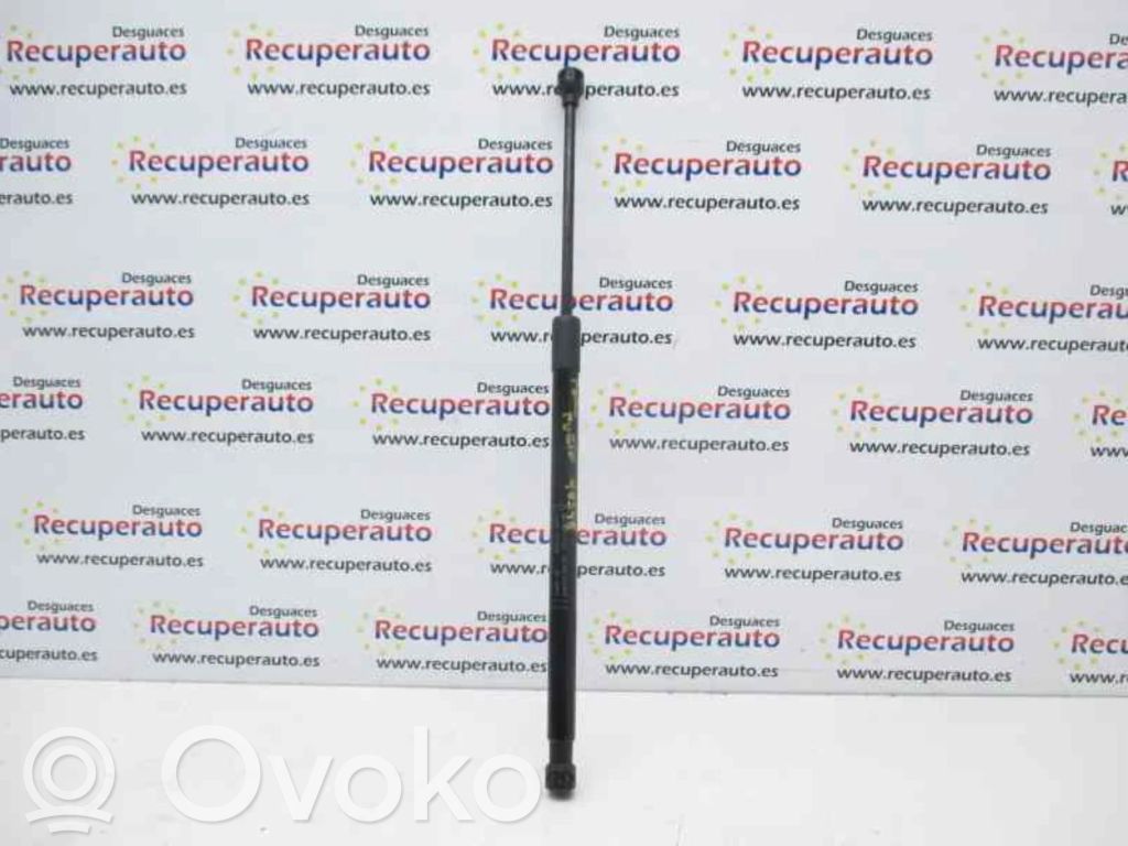 Tailgate/trunk strut/damper   FN1BN400A12AB