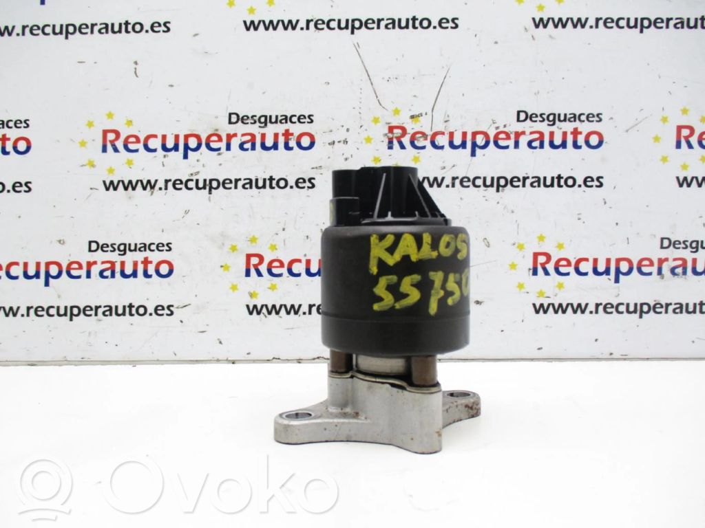 Chevrolet Kalos Válvula EGR 