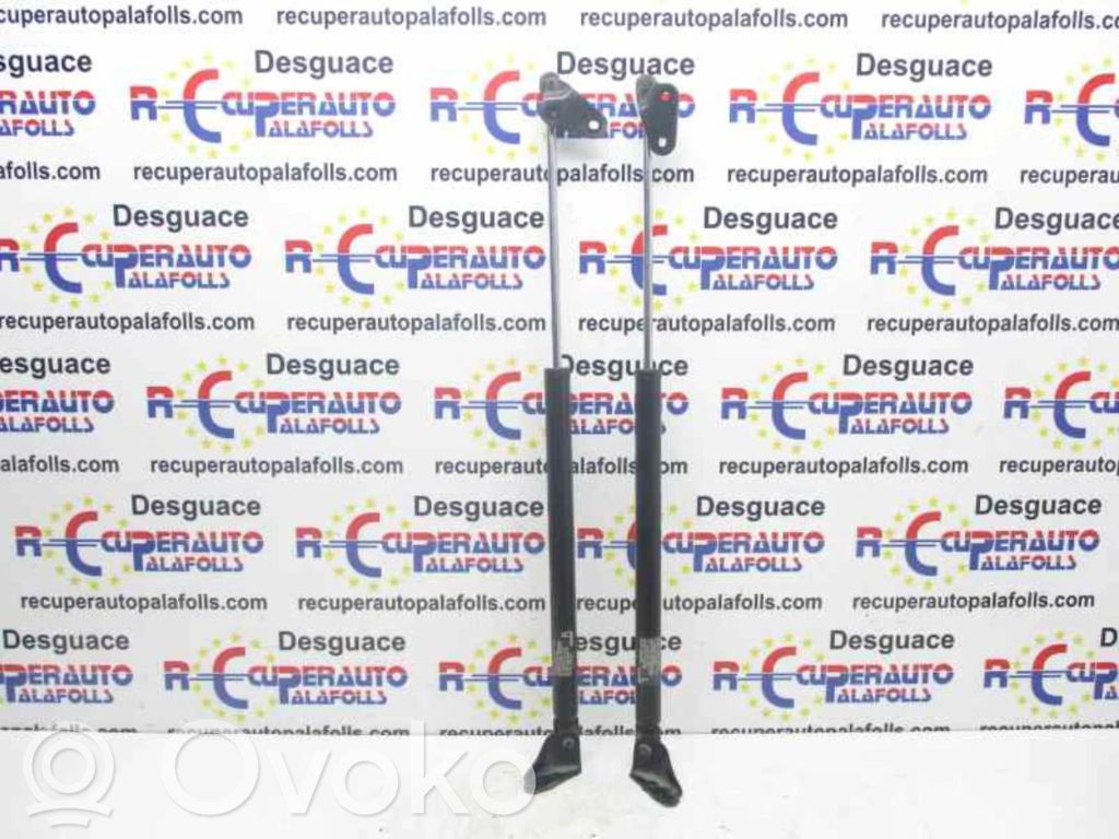 Amortizatorius galinio dangčio