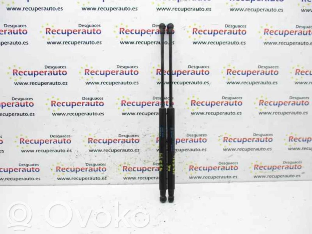 Tailgate/trunk strut/damper   51794232