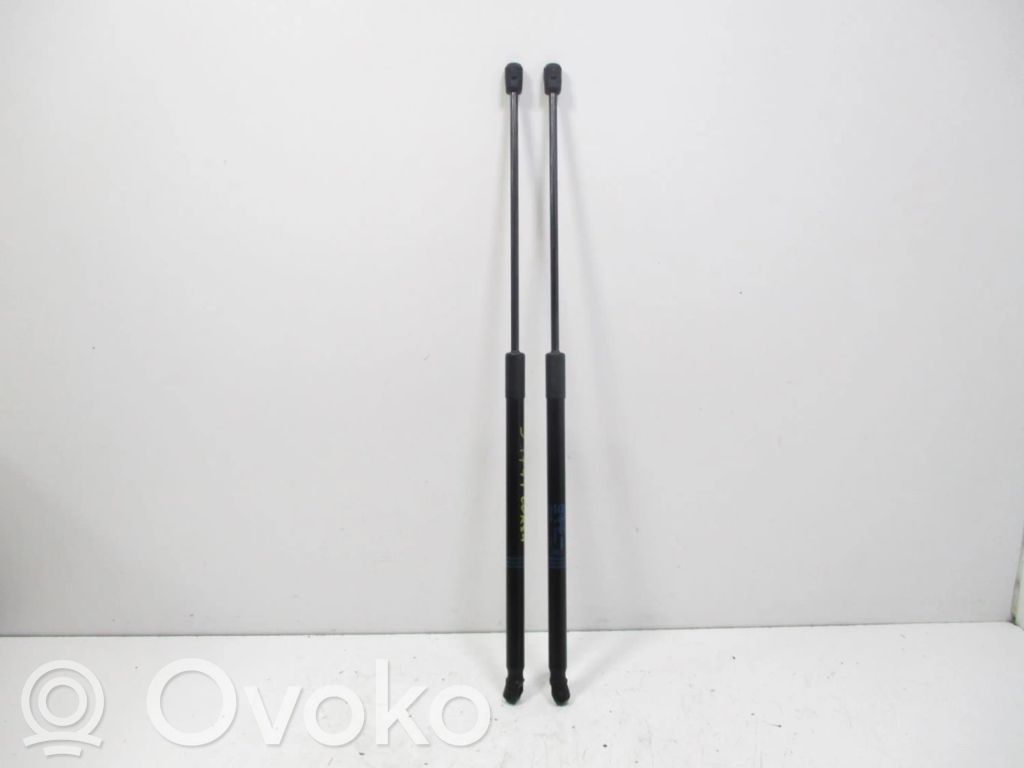 Tailgate/trunk strut/damper   13428064
