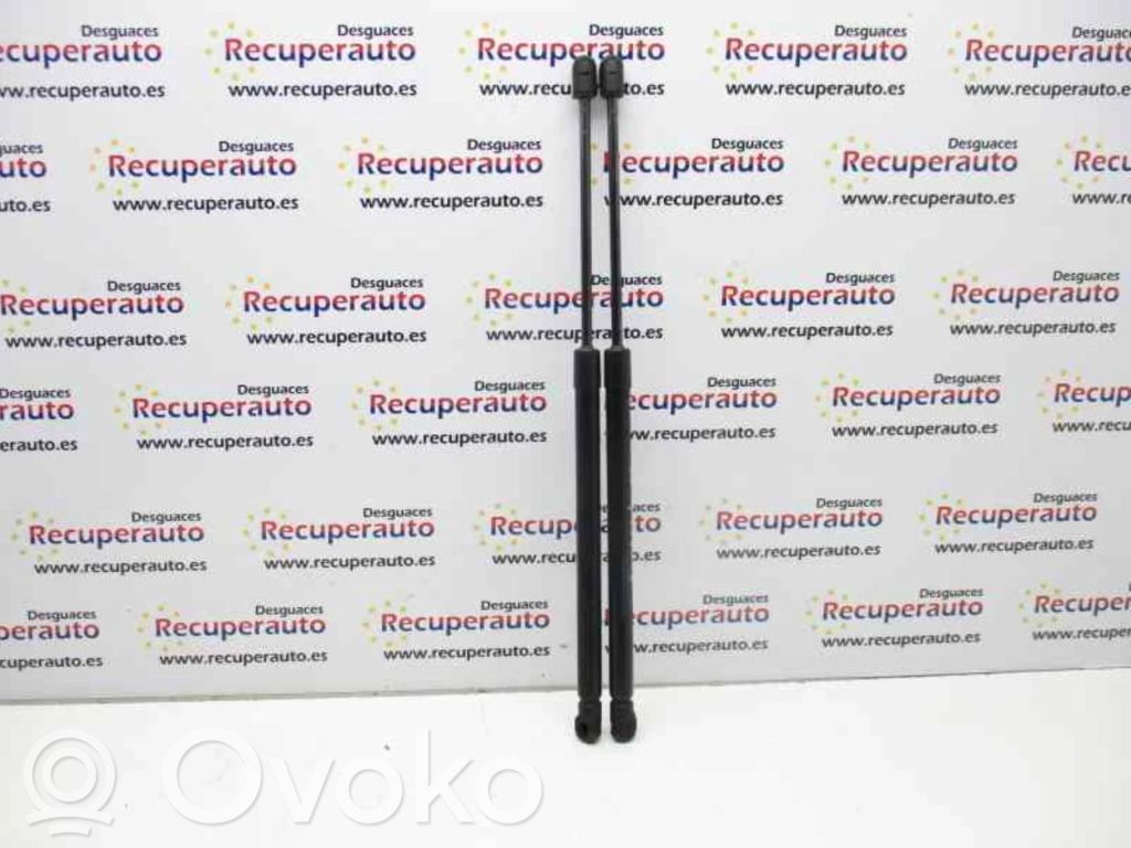 Renault Captur Bagāžnieka amortizators 