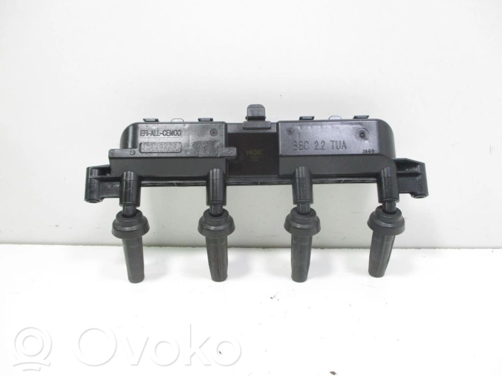 High voltage ignition coil   U6015