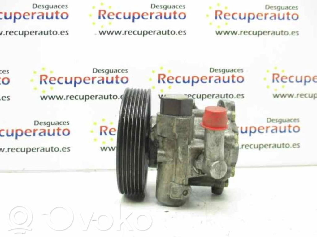 Peugeot 406 Pompă servodirecție 