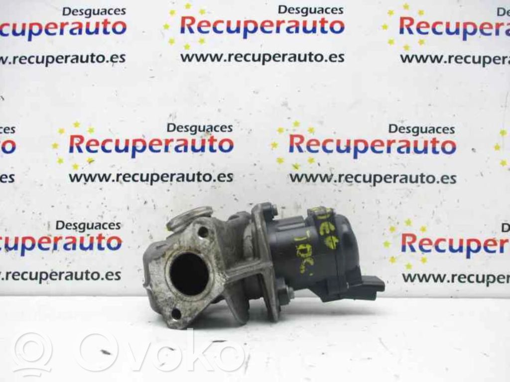 Ford Focus Válvula EGR 