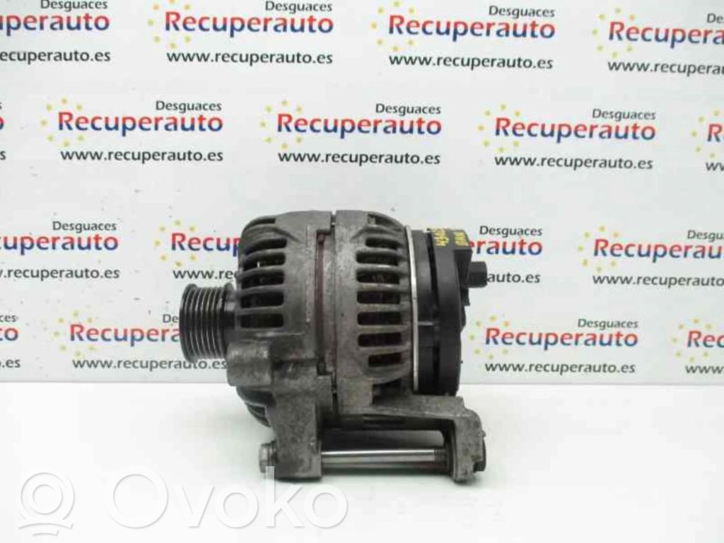Generator/alternator   751972103