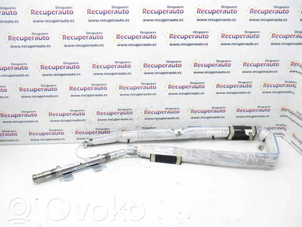 Airbag lateral   850101Y000