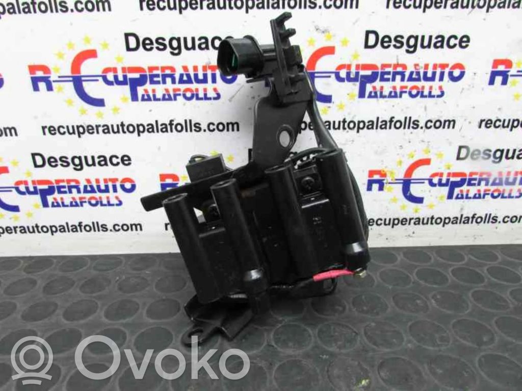 High voltage ignition coil