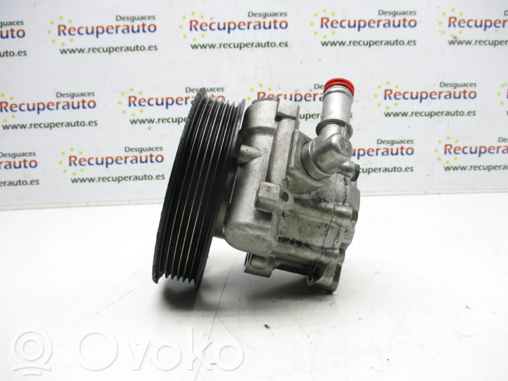 Power steering pump   12756698