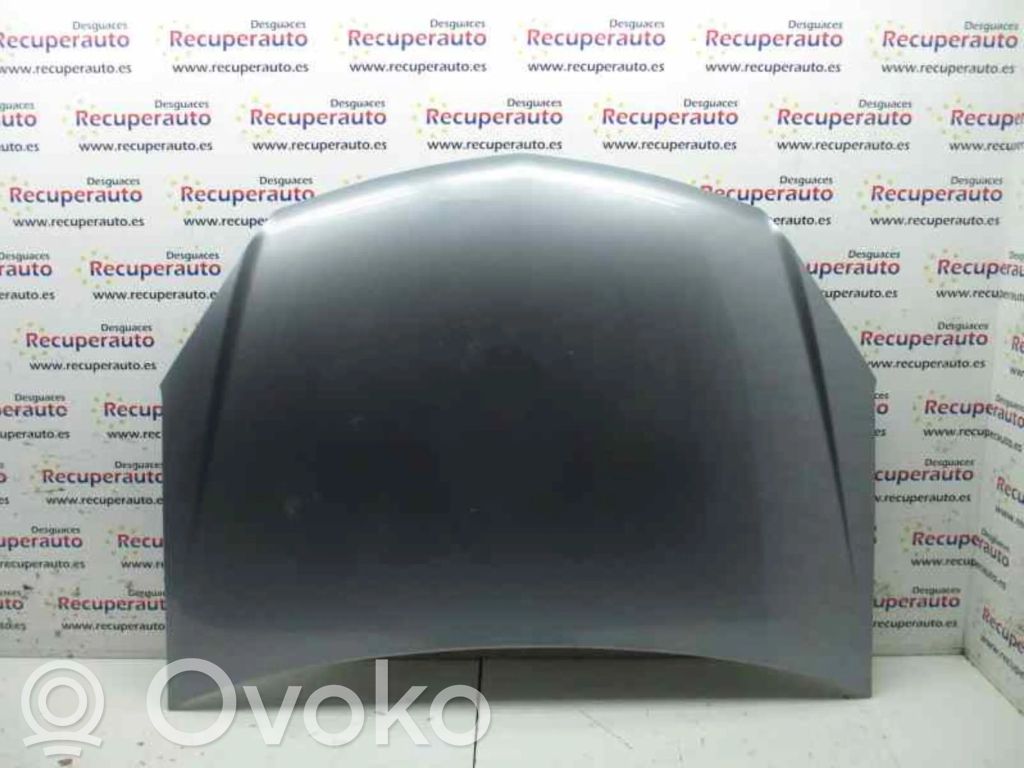 Engine bonnet/hood