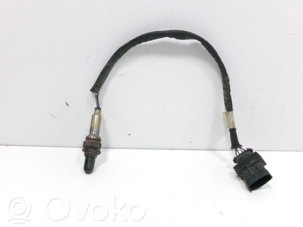 Sonda lambda   55561425
