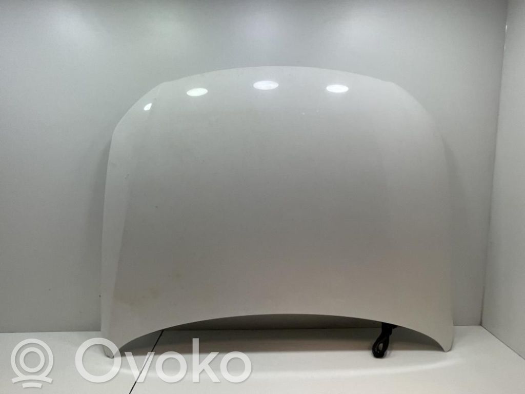 Capotă motor   3C0823155