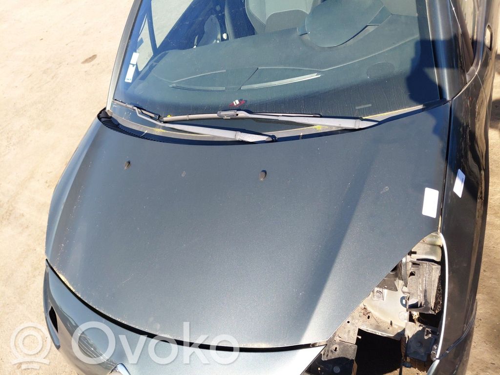 Citroen C3 Dangtis variklio (kapotas) 