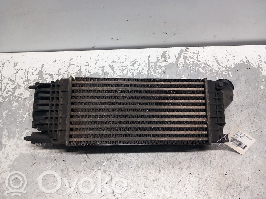 Starpdzesētāja radiators