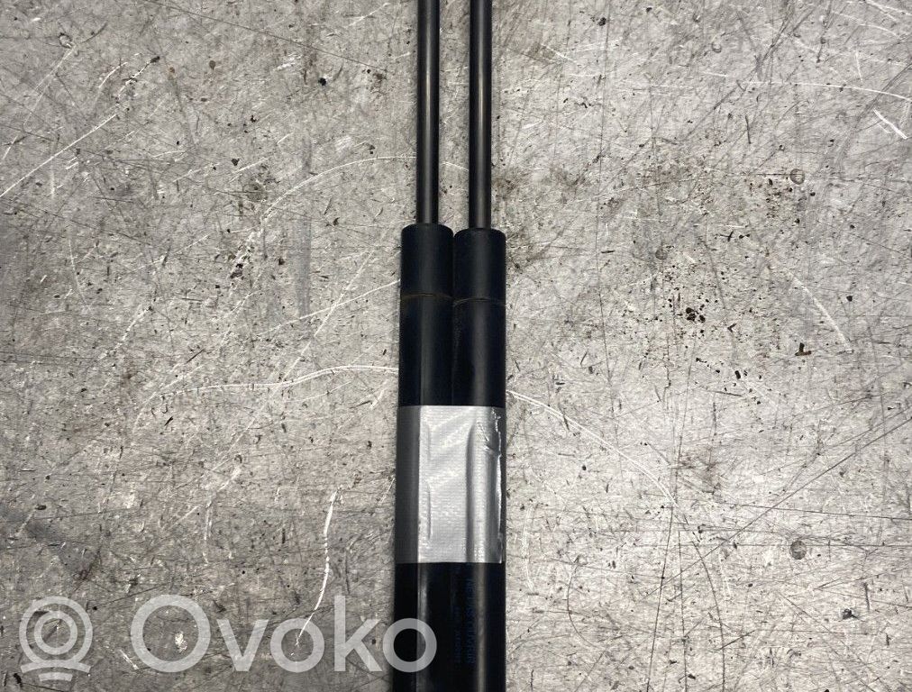 Tailgate/trunk strut/damper   1542413