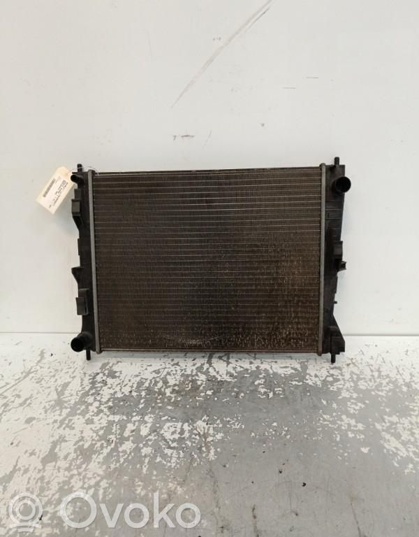 Coolant radiator   8200138738