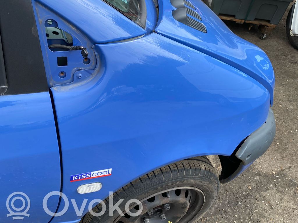 Renault Twingo I Sparnas 