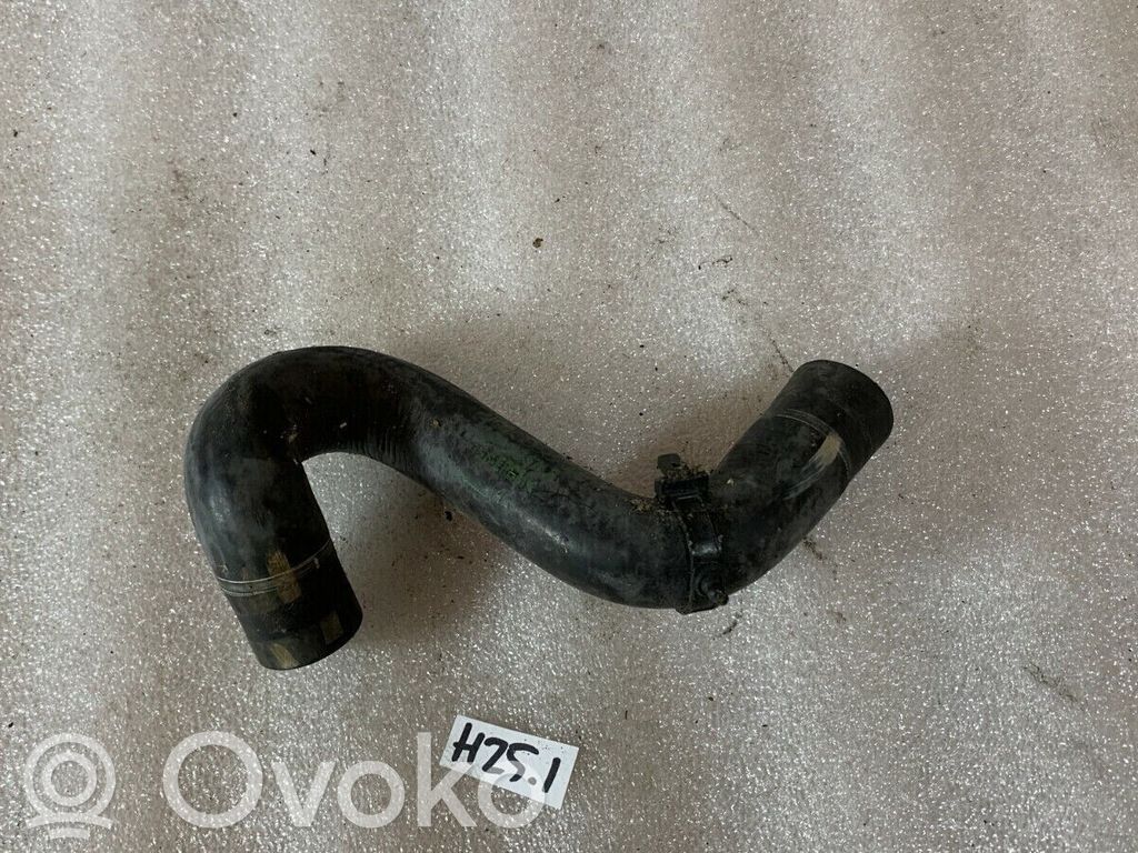 Volkswagen PASSAT B5 Caurulīte (-es) / šļūtene (-es) 