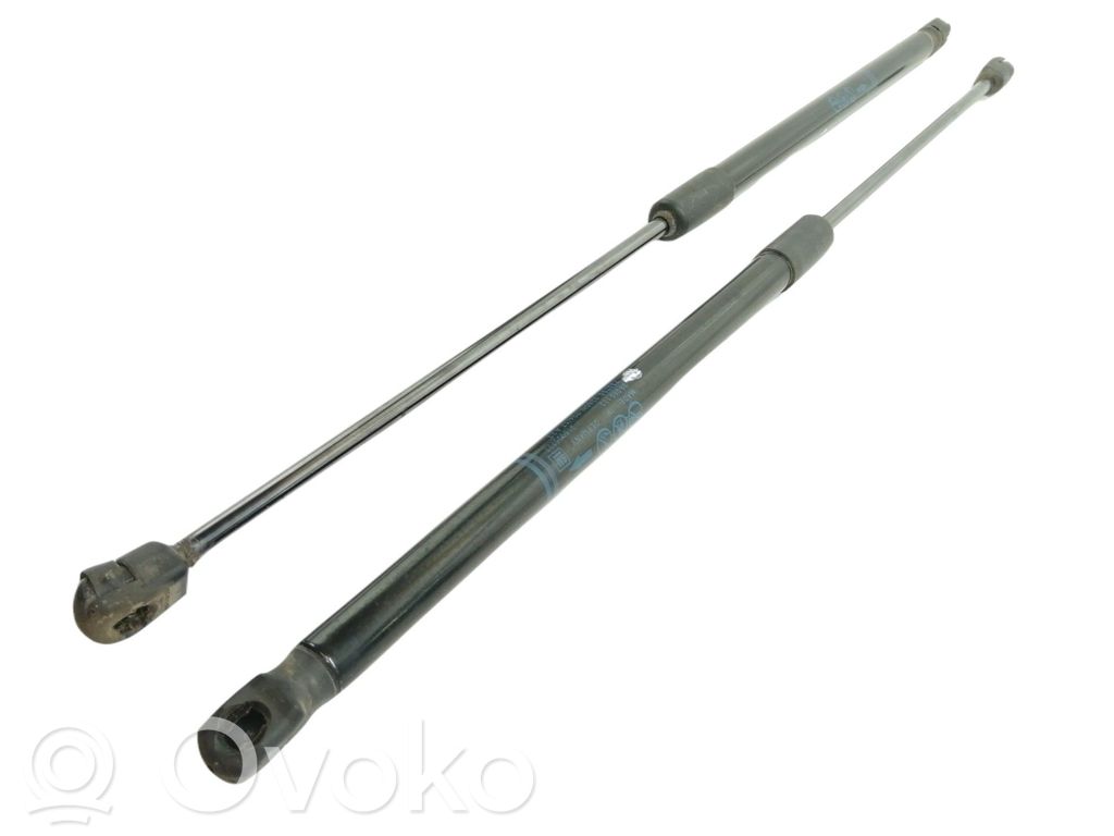 Tailgate/trunk strut/damper   39089133