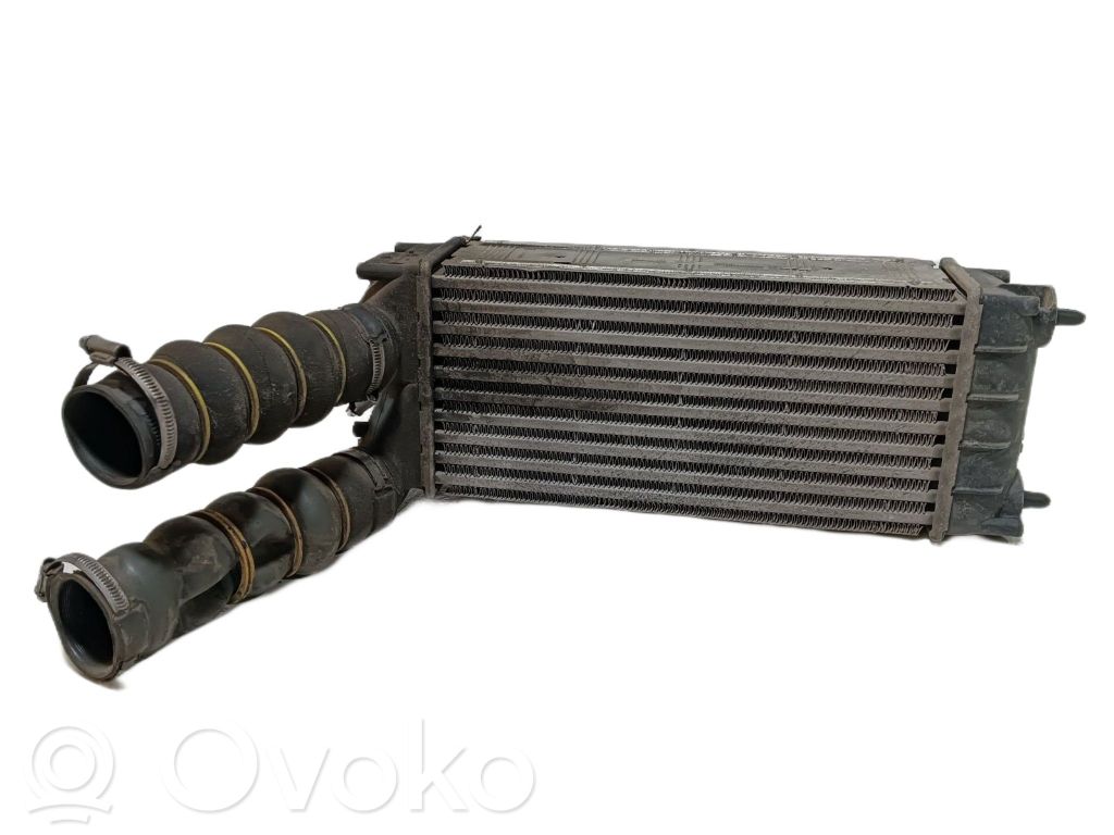 Interkūlerio radiatorius   0384N9,9684212480