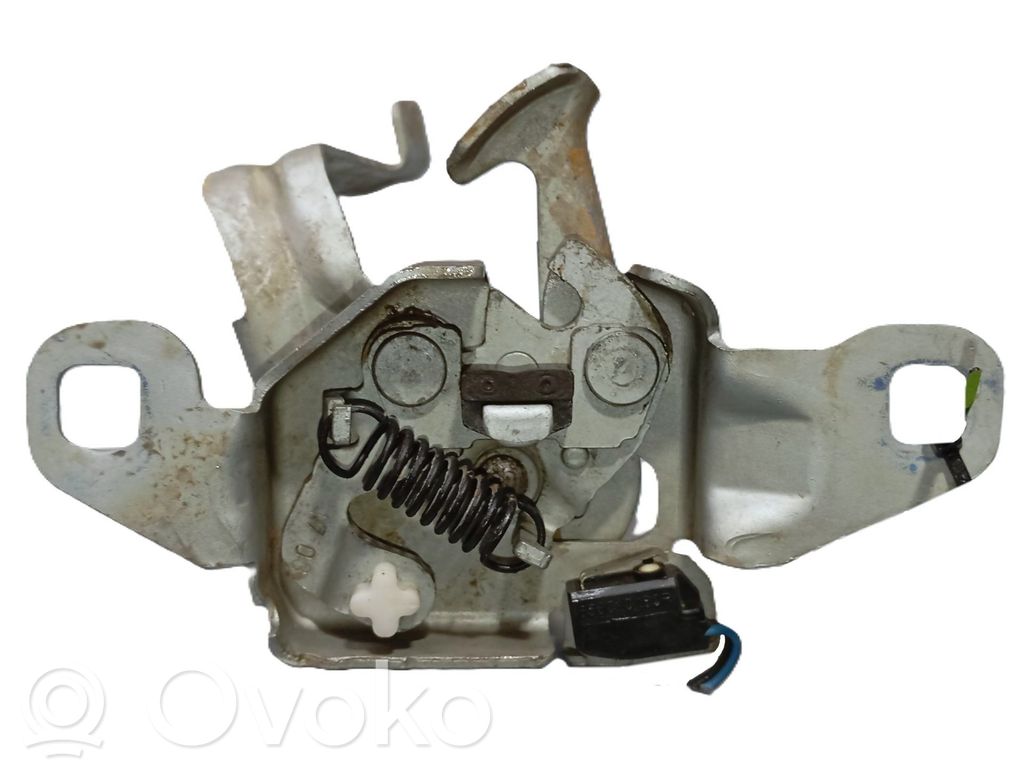 Tie down hook / loop   656010180R