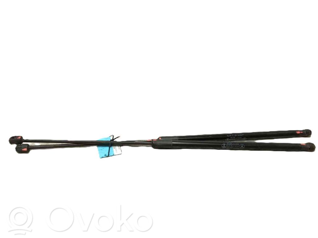 Mercedes-Benz CLS C219 Ammortizzatore portellone anteriore/cofano