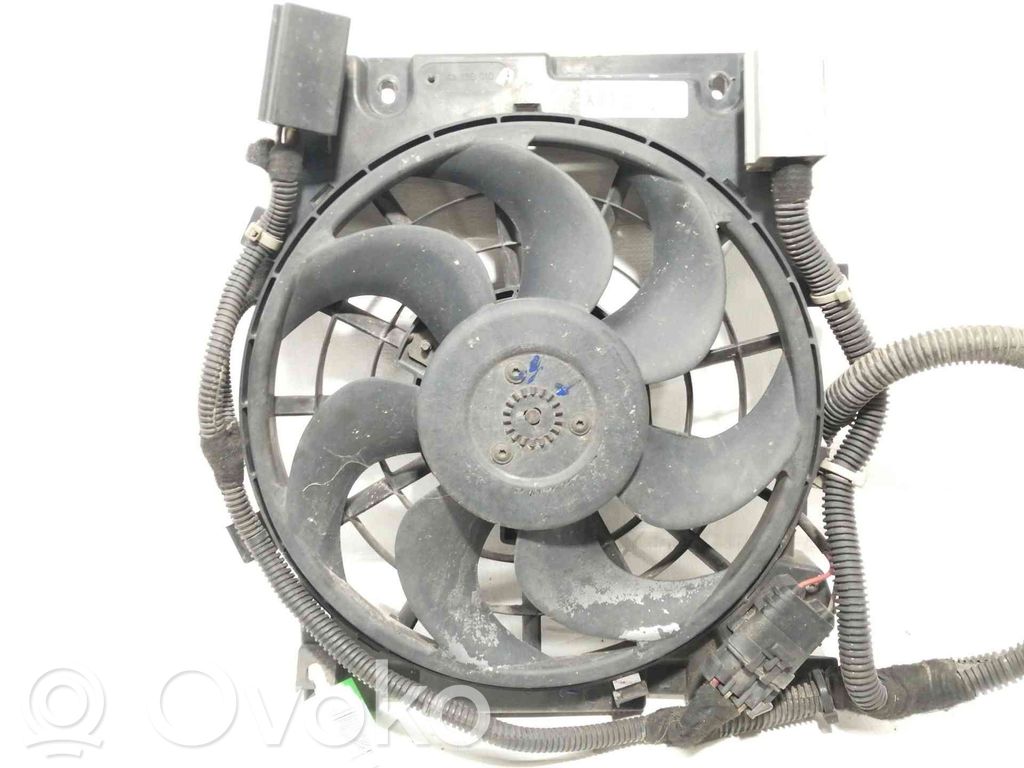 Elektrolüfter   0130303960