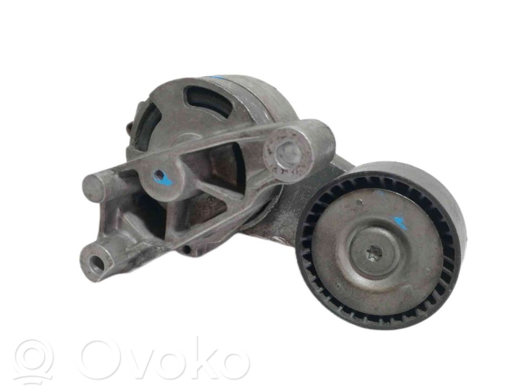 Volkswagen Passat Alltrack Întinzător curea generator/alternator