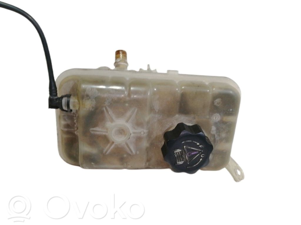Peugeot 407 Vas expansiune combustibil 