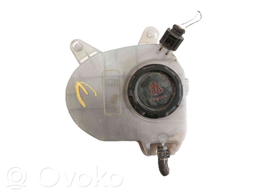 Cupra Formentor Vaso di espansione carburante