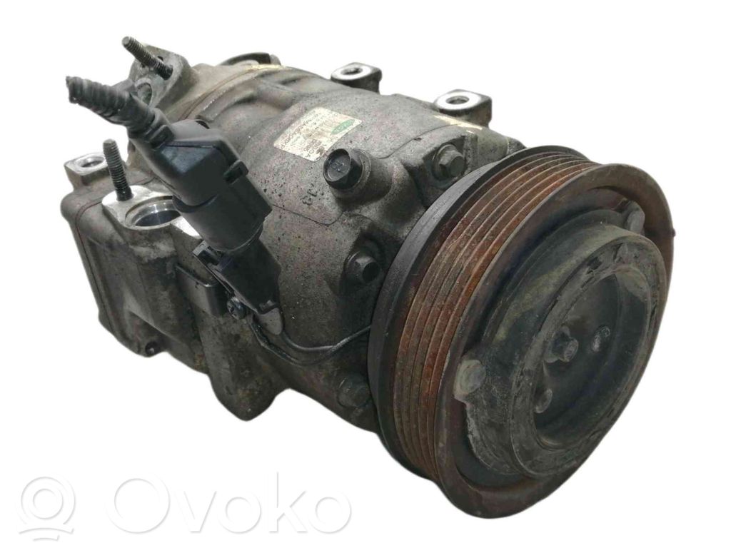 Klimakompressor Pumpe   977013K720