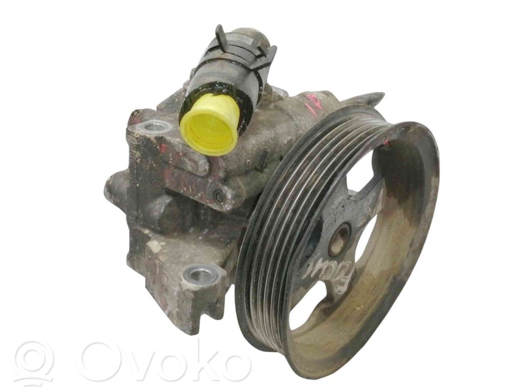 Pompe direction assistée   5125207,2T143A696AE