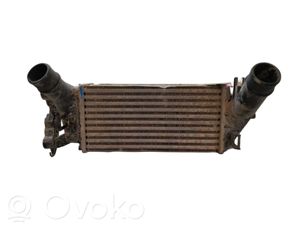 Ladeluftkühler   2163154,MM11990,H1BG6K775AC