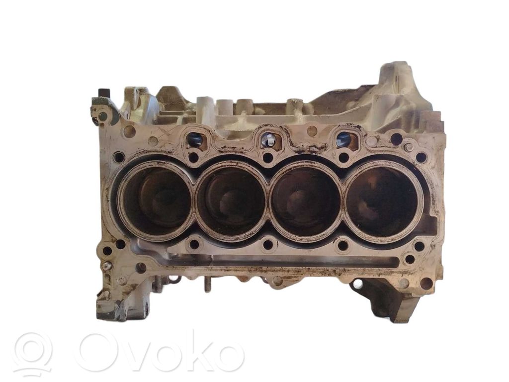 Hyundai Ioniq Blok silnika 