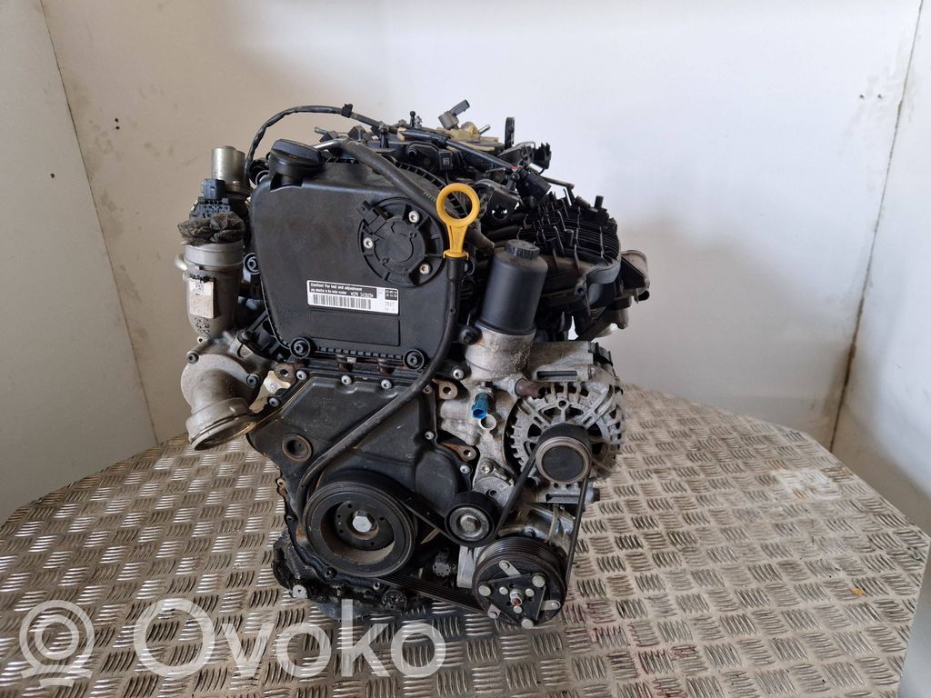 Motor   CPR