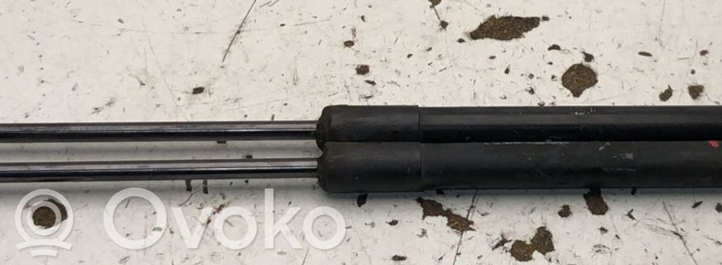 Volkswagen New Beetle Ammortizzatore portellone posteriore/bagagliaio 