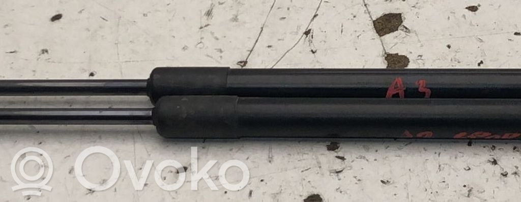 Audi A3 S3 A3 Sportback 8P Ammortizzatore portellone posteriore/bagagliaio 