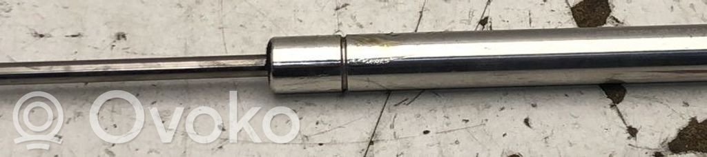 Volkswagen Lupo Ammortizzatore portellone anteriore/cofano 